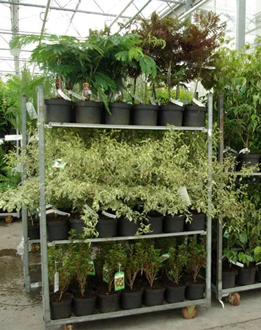 Klaargemaakte bestelling D&V Plant Production