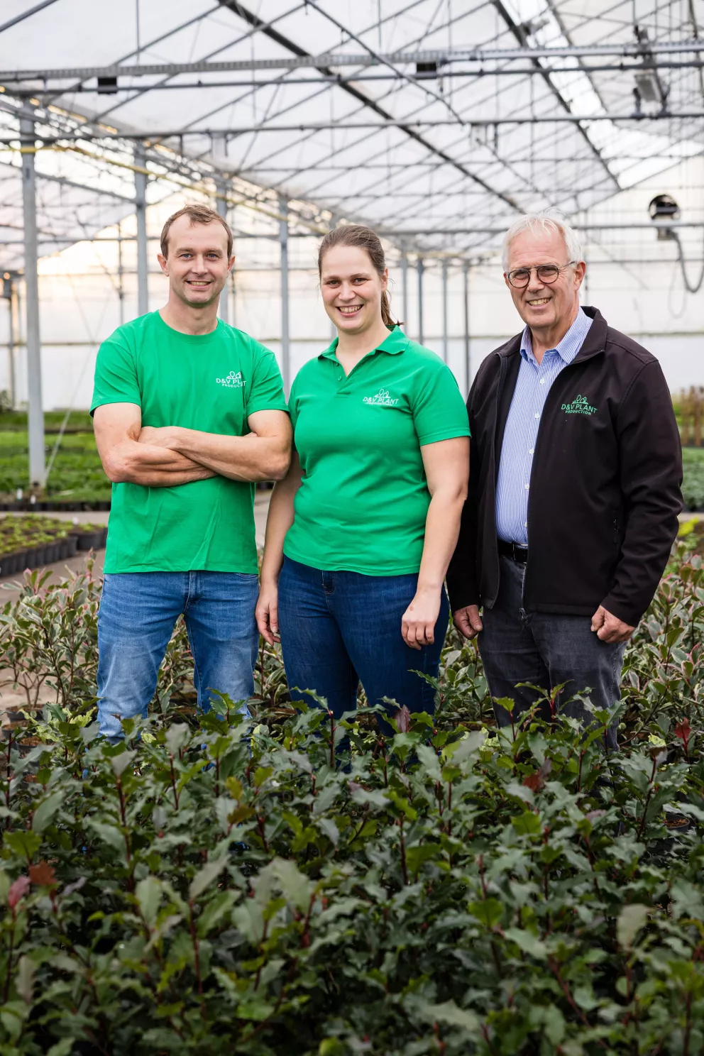 D&V Plant Production
