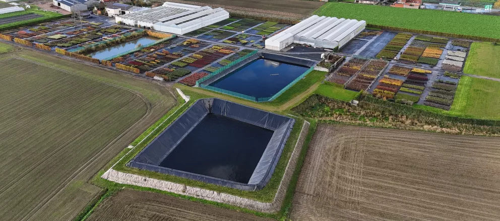 D&V Plant Production