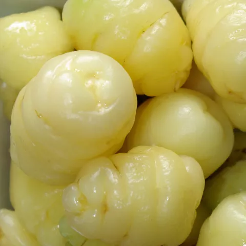 Oxalis tuberosa 'White Wonder'