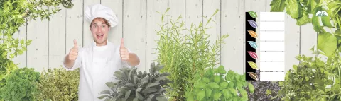 ZZ Banner 1 Kruiden - Plantes aromatiques