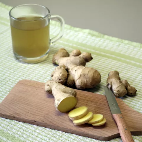 Zingiber officinale