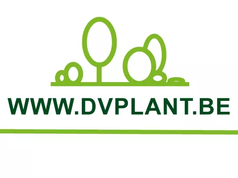 nieuwe website 2022