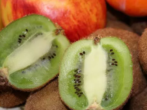 Actinidia del. 'Solissimo' ®