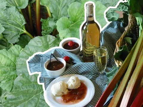 Rheum rhabarbarum 'Frambozenrood'