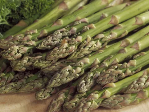 Asparagus off. 'Mary Washington'