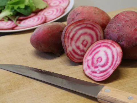 Beta vulgaris 'Chioggia'