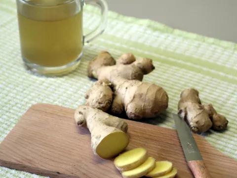 Zingiber officinale